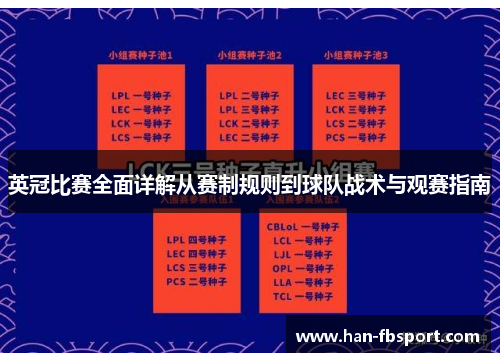 英冠比赛全面详解从赛制规则到球队战术与观赛指南