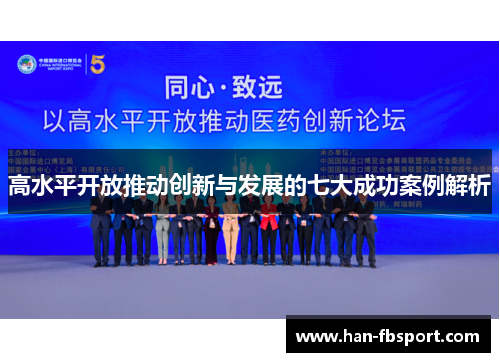 高水平开放推动创新与发展的七大成功案例解析