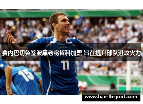 费内巴切免签波黑老将哲科加盟 旨在提升球队进攻火力